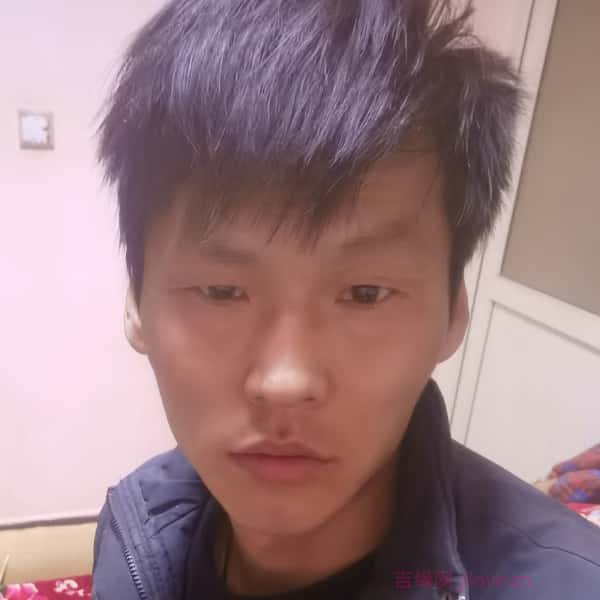 阿勒泰征婚网