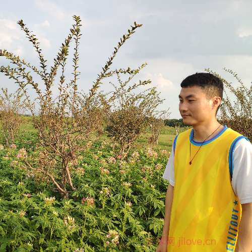 37岁岁广东单身帅哥 - 阿勒泰吉缘网